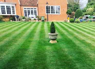 Freshly striped lawn