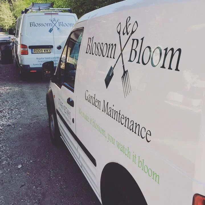 The two branded Blossom & Bloom garden-maintenance vans